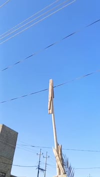 دراجه ماكس منغولي • مراوس