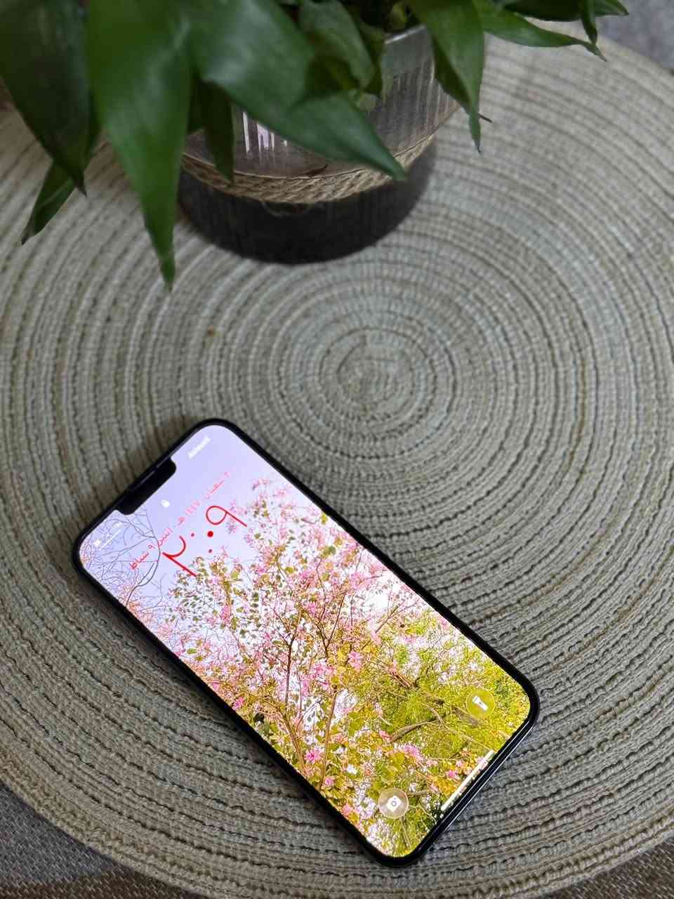 السلام عليكم تلفون للبيع
١٣برو ماكس ‏البطارية  ٨٧

السعر 650


**إذا كنت صاحب هذا الإعلان وتريد حذفه لأي سبب، رجاءا أرسل رسالة إلى الدعم الفني**