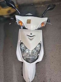 سكنس فحل للبيع /﴿كابريتر﴾/كفاله عامه ختم واحد ويه المكينه  مال جناي سع...