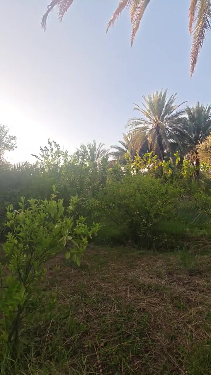 يا الله 
بستان 3 دوانم ونص مع دار و مشتمل قيد البناء للبيع 
مسيج بالكامل يحتوي على تخيل و أشجار مثمرة 
منطقة للوند


**إذا كنت صاحب هذا الإعلان وتريد حذفه لأي سبب، رجاءا أرسل رسالة إلى الدعم الفني**