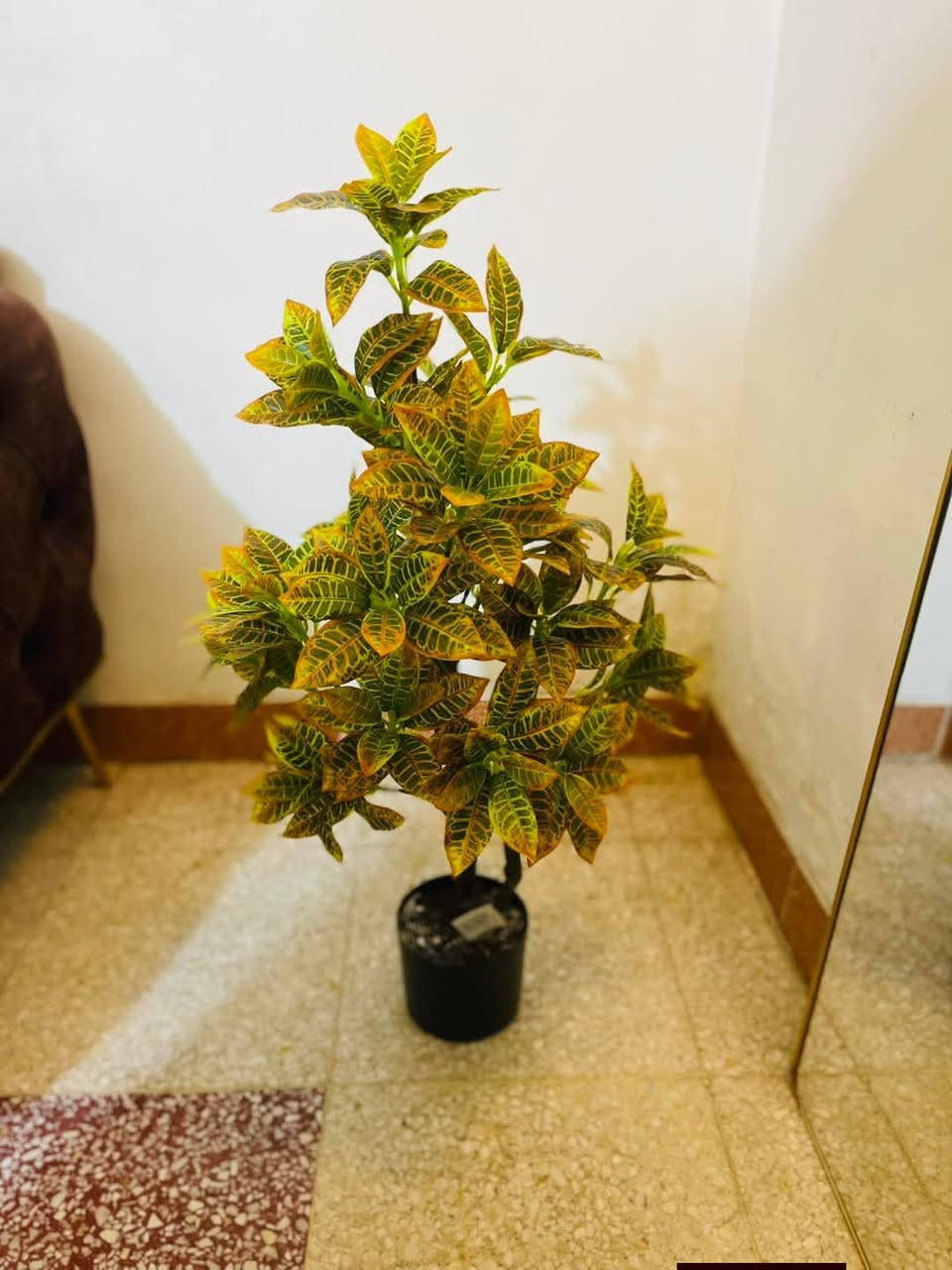 جمال الطبيعة… بدون عناية 🌿 أشجار صناعية ونباتات صناعية كوالـيتي ممتازة ✔️ موديلات جديدة وحصرية ✨ شكل قريب جدًا من الطبيعي ويضيف لمسة أناقة لأي مكان 

محل علي بركات😍😍😍

خانقين/ داخل السوك/ فرع مركز الشرطه/ مجاور المكاتب


**إذا كنت صاحب هذا الإعلان وتريد حذفه لأي سبب، رجاءا أرسل رسالة إلى الدعم الفني**