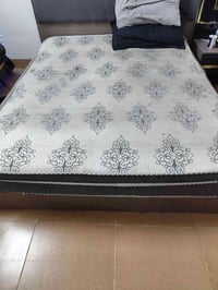 دوشك سبرنك • نفرين