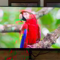 ريدمي G24 • ٢٣٫٨ بوصة • ١٦٥ هرتز