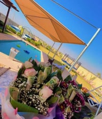 على اقبال الصيف صار  استثمار شراء دوانم اطراف بغداد الانشاء مزارع ترفي...