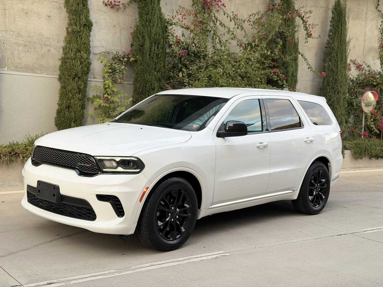 دوج دورنكو موديل 2023
مكينة 3.5سته سلندر 
ماشية 4الف بس دبل اكسل 
شاشة كبير كاميرا بصمة 
كوشن كهربائي سبعة راكب 
لايتات led..و عدسة 
ويل التاير بيست..تبريد مركزي 
سيارة بيها بس قطعة صغيرة صبغ 
الامام و الخلف كبس 
السيارة كلها شرط 
بيها رقم مؤقت لمدة شهرين 
سعر $273
رقم تلفون 
*********** عربي
*********** كوردي
دۆج دۆرانگۆ ٢٠٢٣
مەکینە ٣.٥ شەش بستن
چوار هەزار ڕۆشتو..دەبڵ ئەکسل
شاشە گەورە..کامێرا بەصمە
کوشن کارەبای..سێ ڕیز کوشن
لایت led..لایت عەدەسە
ویلو تایەی بیست..تەبریت مەرکەزی
سەیارەکە تەنها یەک پەلە بۆیاخی هەیە ..
پێشوو دوای کەپسە..جێڕو مەکینەو تەقەو ڕەقەی
هەموو بەشەرت
دوو مانگ ژمارە کاتی لەگەڵە
سعری ٢٧٣$
 *********** عەرەبی
 *********** کوردی
