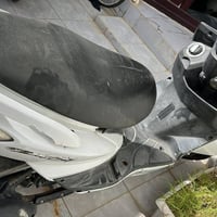 سكنس ياباني • فحل • تقاطع القدس