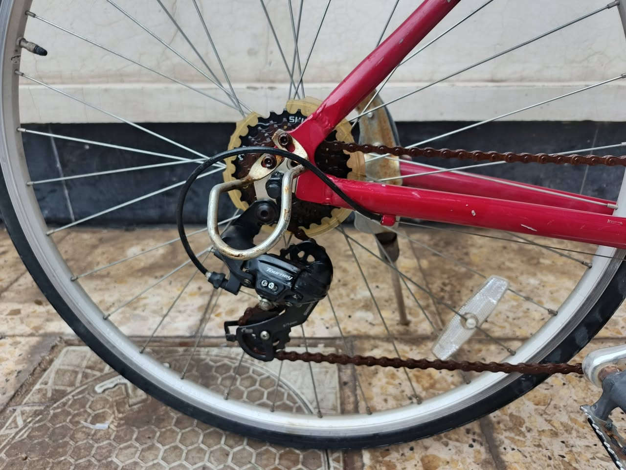 الاصلي سعر 125الف


**إذا كنت صاحب هذا الإعلان وتريد حذفه لأي سبب، رجاءا أرسل رسالة إلى الدعم الفني**