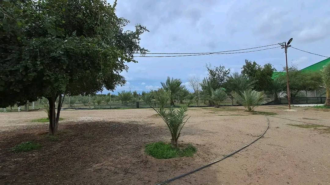 للبيع 🔥 فرصة استثمارية مميزة
مزرعة بمساحة 15 دونم (طابو زراعي – تحويل مباشر)
📍 الموقع: على الطريق الدولي بغداد – الأنبار، مقابل جامعة الفلوجة
📏 الواجهة: 100 متر مباشر على الشارع العام
✨ مميزات المزرعة:
دار عدد 2 جاهزة للسكن
استراحة كرفانات + خيمة كبيرة مجهزة بالكامل
جلسة مثمنة (سكيورتي)
جميع الخدمات متوفرة (ماء، كهرباء)
مزروعة بأفضل أنواع النخيل والفواكه المتنوعة
مسيجة بالكامل
اسطبل خيول متكامل
محمية حيوانات
💰 السعر: الدونم 250 مليون (قابل للتفاوض)
📞 للاتصال والاستفسار:
***********
📱 واتساب: ***********
