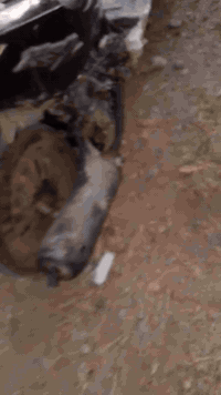 ماكس • كهرباء وسلف • شاطي الجدر