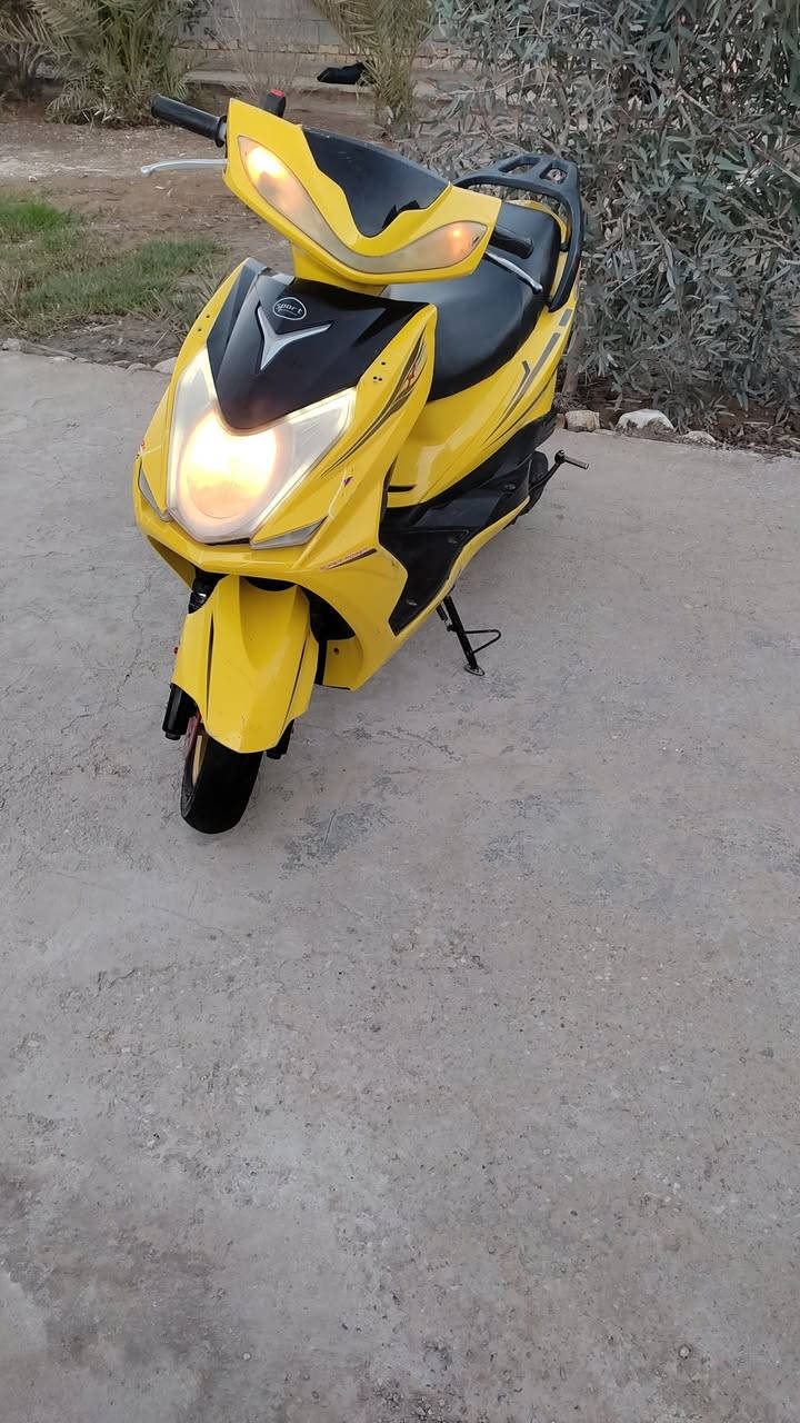 السلام عليكم شباب دراجه  سكنس فحل مديل 24 جاهزه نكره سلف هندر كرهبيات بريكات دسك تواير باتري كله جاهزه وسريعه كلش وناعمه الله شاهد دراجه خير من الله السعر 400 وبيه مجال عنواني قضاء الرفاعي *********** واني بل خدمه
