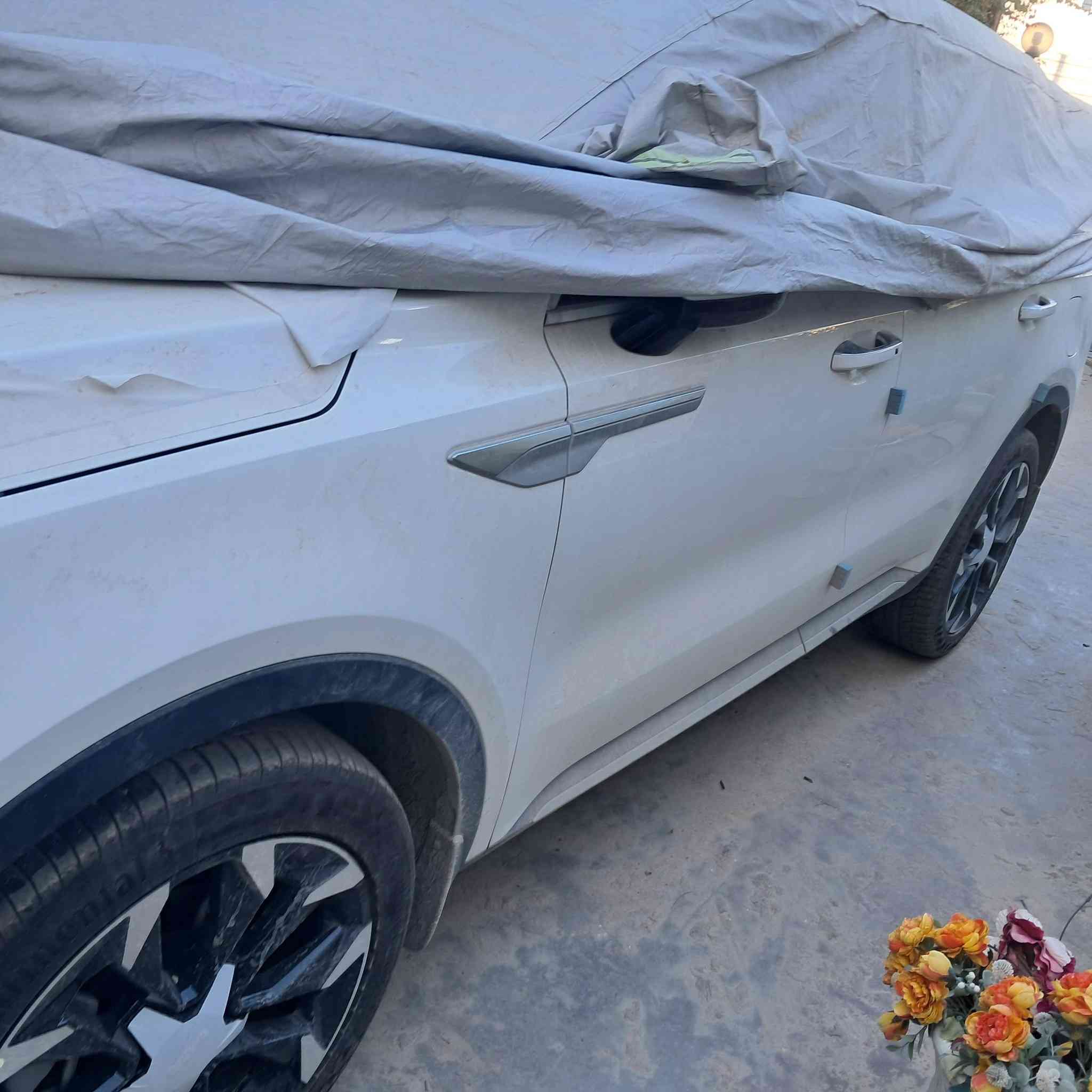 السلام عليكم : مكلف بالنشر
سورينتو 2025 ، 6 سلندر ، ماشية فقط 1500 الف و نص كيلو ، داتا شو ، ويل 20 ، بقية المواصفات معروفة ، رقم اربيل ، مكان السيارة في النجف ، السعر 335$ ، السيارة مكفولة من كلشي ..
     مع الشكر لإدارة الصفحة...


**إذا كنت صاحب هذا الإعلان وتريد حذفه لأي سبب، رجاءا أرسل رسالة إلى الدعم الفني**