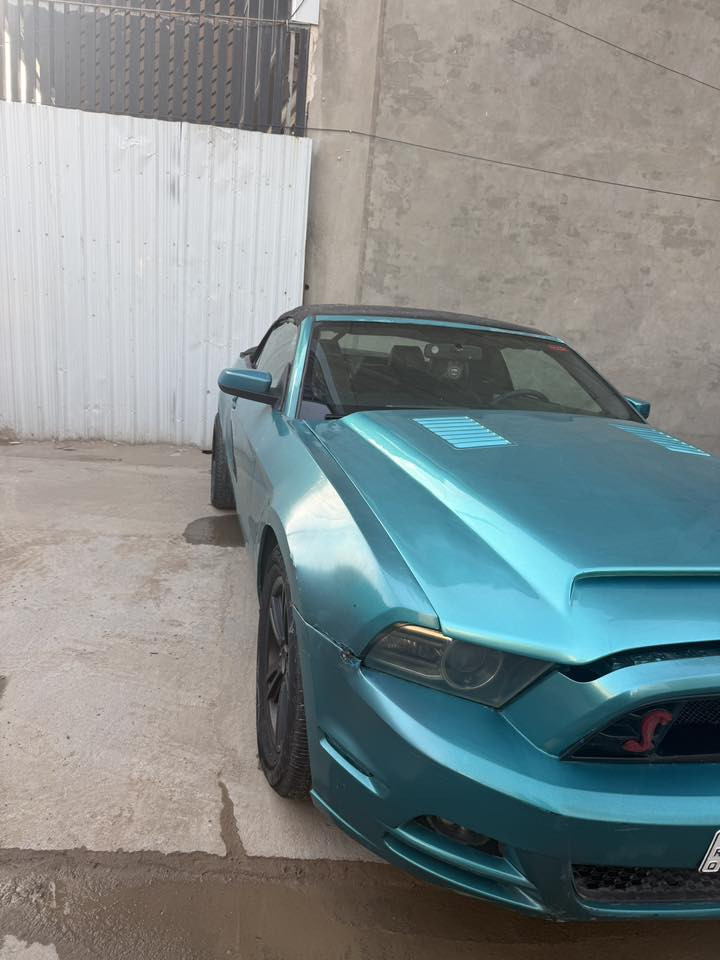 موستنك 14 بريميوم كشف للبيع
١- ستة سلندر 
٢- مصبوغة عام بالسنوية اخضر غير محدد جماليه 
٣- بجم شيلبي 
٤- مقاعد شيلبي 
٥- شاشة اندرويد كار بلي 
٦- كامرة 
٧- ويل 17
٨- تخم تايرات جديد 
٩- باتري جديد قبل شهرين اشتريته
١٠ - سياره بريميوم بالكامل من سماعات شيكر ودشبول ٧ الوان 
١١-كشف شغال 100% الله شاهد بس بي شك صغير بالصفحتين 
١٢-رقم بغداد جديد سياره باسميي تحويل ثاني يوم ومكاني بغداد  
 
السعر ٩٠ ورقه 
رقم الهاتف ***********
