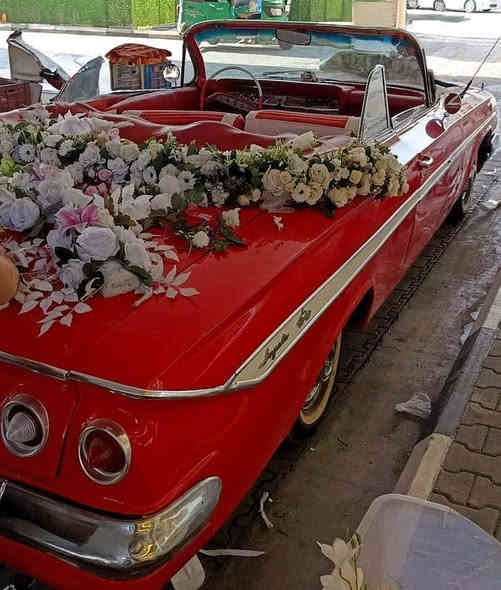 👑 للبيع: تحفة نادرة! شيفروليه إمبالا كشف (أصل) موديل 1961 🇺🇸

🔥 فرصة استثمار لعشاق السيارات الكلاسيكية والقطع الفريدة! 🔥

• النوع والموديل: شيفروليه إمبالا (Chevrolet Impala)

• سنة الصنع: 1961 💎

• النسخة: كشف (Convertible) أصلي ☀️
✨ فرادة وتفاصيل لا مثيل لها:
السيارة الوحيدة من هذا النوع والحالة في العراق والشرق الأوسط! 🌍

🛡️ المواصفات الفنية والحالة:
• المحرك وناقل الحركة: وكالة (Original) وبحالة ممتازة جدًا 💪.

• الهيكل الخارجي:

• مصبوغ بالكامل بنفس اللون الأصلي للسيارة.

• خالٍ تمامًا من الصدأ (Rust-Free) ✅.

• الكرومات: لامعة وبدون أي بهتان (كالجديدة) ✨.

• الإطارات: جديدة بالكامل 🏎️.

• النظام الكهربائي: كامل ويعمل بكفاءة عالية وبدون أي ملاحظات ⚡.

🛋️ الداخلية:
• الداخلية: أصلية (Original) وبحالة ممتازة.

• الفرش: نظيف جدًا ومحافظ عليه 🧼.
📝 الأوراق الرسمية:

• الترقيم: رقم بغداد "إنجليزي" 🇮🇶.
• 
النظافة: نظافة السيارة ممتازة (كما هو موضح في الصور).

📞 السعر والتواصل:
السعر بناءً على الاتصال والمراسلة فقط 💰

لمعرفة السعر والمزيد من التفاصيل أو المعاينة، يُرجى الاتصال أو المراسلة عبر واتساب:
*********** 📞
