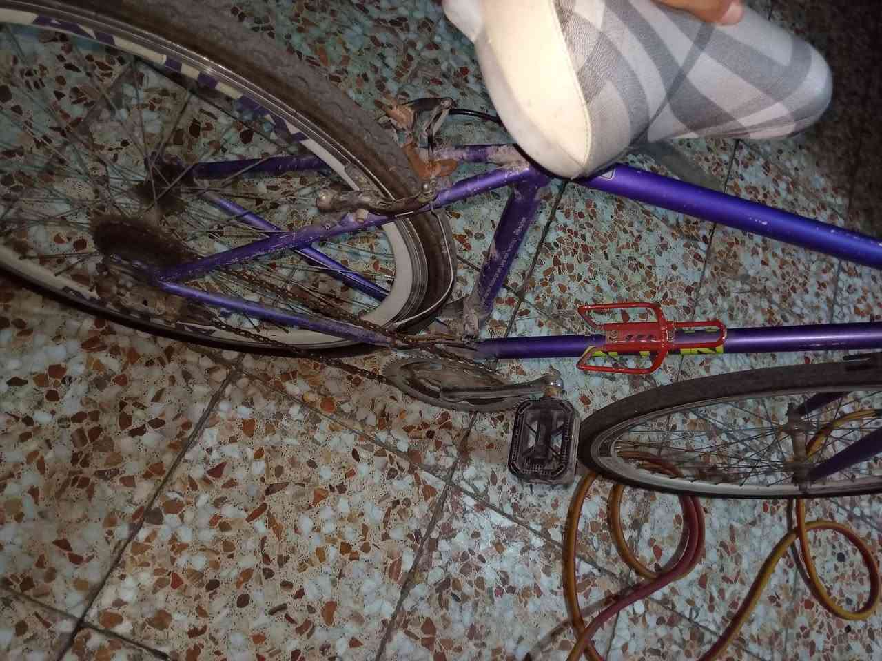 باسكل لبيع سعره 50وبي مجال 
رقم ***********
