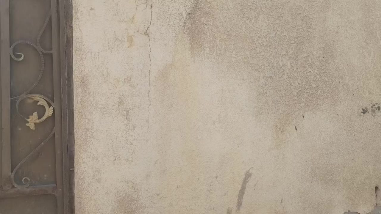 ياالله.     اللهم صلي على الحبيب محمد وآله وسلم
بيت للبيع  ١٠٠ م طابو زراعي سند ٢٥ كربلاء يبعد عن الامامين ١٠ دقائق مشي  يبعد حوالي اقل الكيلو لمركز المدين خدمات موجوده ماء كهرباء مجاري  للاتصال ***********
