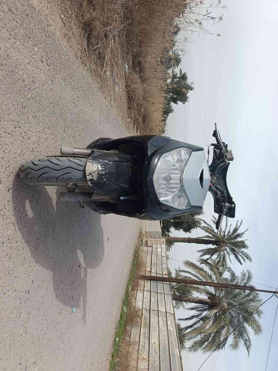 السلام عليكم سكنس فحل 140كوم حديد سعر نهائي 350رقم ***********
