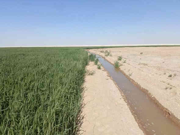 السلام عليكم ...
٧٠٠ دونم ٤٠٠ سيح و٣٠٠ مرشات وقريبه على المعمل في ابو غار سماوه وبيها بير واحد رايدها ب٧٥ وبيها مجال بسيط *********** وهذا الرابط مال البير الي بصف الكاع وهاي قوه المايhttps://www.facebook.com/share/r/1CVJDB6xQe/
