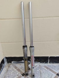 دبلات • جونده • اصاليات