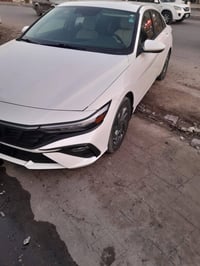 النترا • ٢٠٢٤ • بدون صبغ