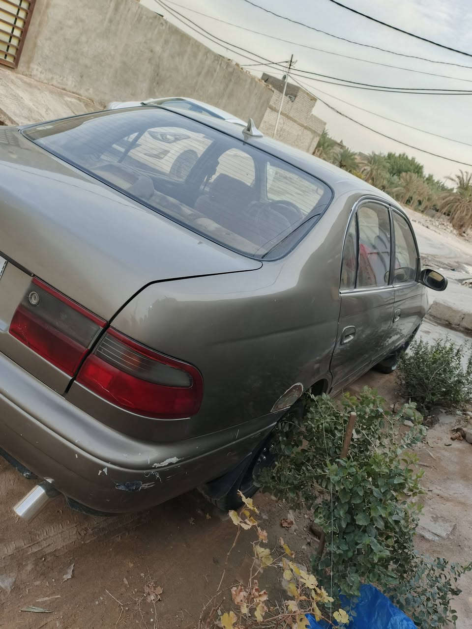 السلام عليكم
كرونا نفخ موديل 1994 كير+مكينة مال حاوية توني شادهن صدر امامي خلفي مكفولة من كصه ونقل جثة ومن الضربه  تخم تاير جواها صبغ عام جمالية دبلات اربعة تبريد ثلج دواخلها حلوه رقم انكليزي بسمي السيارة برغي ماعايزها مثل ماموجوده بالصور وموضحة كدامك سعرها 60وبيه مجال كلش بسيط مكانها النجف الاشرف الكوفة البراكية رقم تليفوني *********** متواجد واتساب
