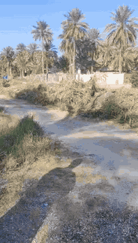 السلام عليكم دونم ونص دونم ونص مباشره بالحسينيه عالشارع مباشره بمنطقه العطيشي قريب على مدرسه السفير منطقه ابو تمر ببيت والمثل ما تشوفوه بستان مرتب وكامل جاهزه خدمات كامله مي مدارس كهرباء مي دلال اي استفسار اتصال بالرقم اللي راح نخليكم اياه بيكم خير وتدللوا وسعره مناسب ان شاء الله ابيع مستعجل اخوان
***********
***********
اتصل بالارقام
