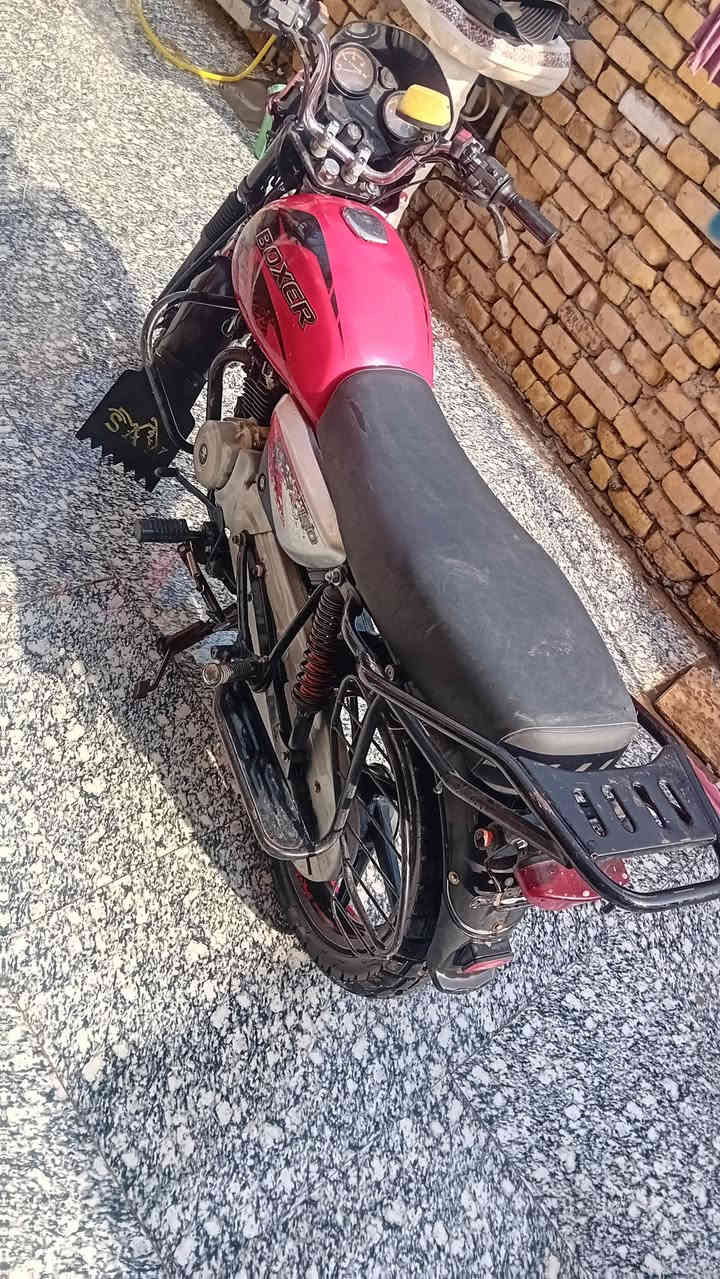 اسلام عليكم بوكسر هندي فحل موديل ٢١
المكان المجر الكبير السعر مليون و وربع 
الاستفسار ‎***********
