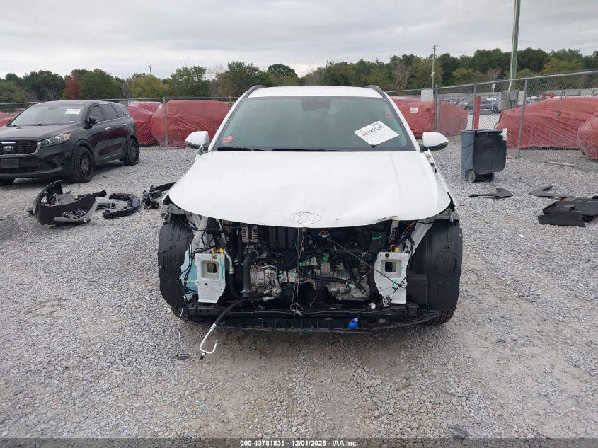 سلام عليكم واصل العمان بدون كمرك مدةالوصول  10ايام ***********سعر125
