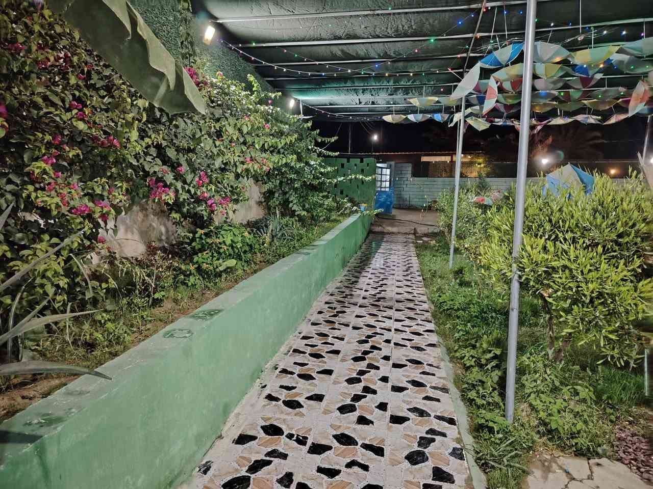 منتجع ومزرعه بلد الخضراء موثقه بتطبيق أجرلي💚✨

يحتوي المنتجع على:✨

.ملعب كره طائره✨
.حديقه كبيره✨
.العاب اطفال✨
.منظده+فيشه✨
إنترنت فول✨✨
.بيت كامل مكمل ومكيف مزود بل كهرباء24ساعه✨
.غرفتين+صاله+مطبخ+صحيات داخليه وخارجيه✨
.مسبح كبير وصغير✨

متوفره طيله ايام الأسبوع وعروض خاصه لعوائلنه الكريم✨🤍

🎉 عروض خاصة طول الأسبوع 🎉

أسعار الشفتات ❤️✨

☀️ الشفت النهاري 125 ألف  
🌙 الشفت الليلي 150 ألف

للحجز والاستفسار:
📞***********
📍 موقعنا: [صلاح الدين قضاء بلد ]
