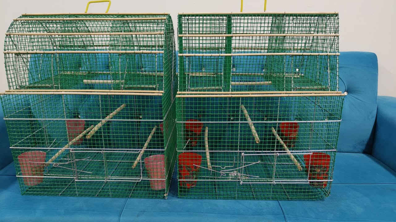 السلام عليكم ورحمه الله وبركاته عندي اقفاص مال صيد  اربعه فخ .. شغل درجه اولى مكاني نجف الاشرف) التواصل على رقم الهاتف ***********
