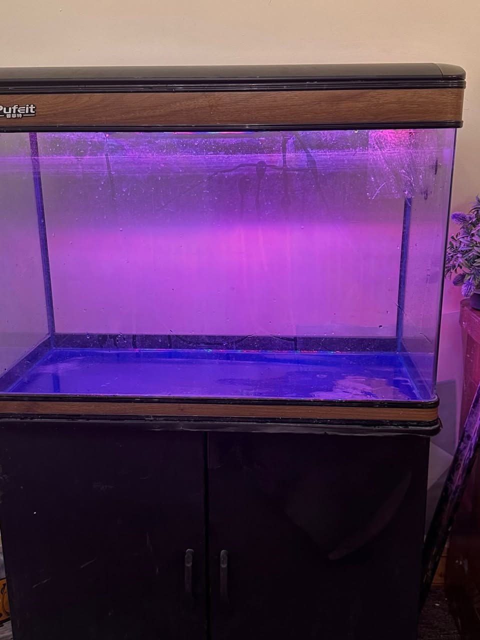 حوض مع الميز للبيع نقص ماطور 
قياس الحوض فقط 
80 عرض 
50 ارتفاع
30 نزال
السعر ب125  مع الميز وييه مجال 
المكان بابل


**إذا كنت صاحب هذا الإعلان وتريد حذفه لأي سبب، رجاءا أرسل رسالة إلى الدعم الفني**