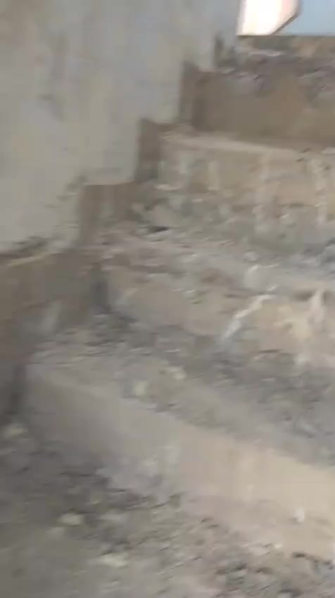 السلام عليكم يوجد لدينا كادر تفليش البيوت وتگشير الجذران و قلع الراضي كافة أنواع التفليش بانسب السعار بغداد فقط ***********
