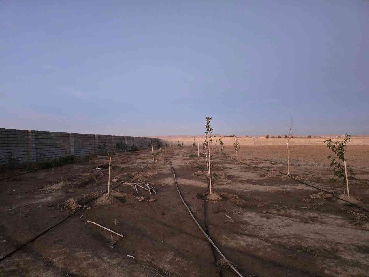 ارض لبيع مساحه ٣ دونم و٢٠٠متر   بي غطاس ٦٥متر  بي بيت هم  بين خضر الياس وسنبك  رقم هاتف ***********
