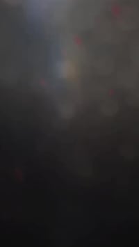 سكنس فحل • ياباني • صلنصنه رياضي