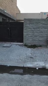 الاستفسار 07802511864