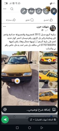 سايبة البيع السعر 12 رقم راعيهة بل صورة