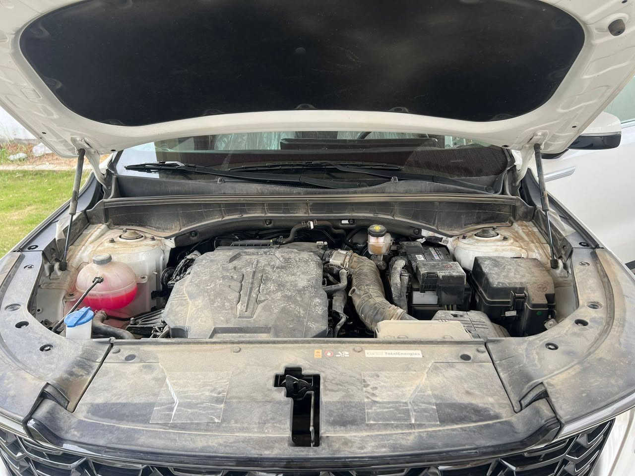 سلام عليكم
سورنتو2025 خليجي مكفولة من جكت الابرة(رقم اربيل)

السياره ضمان الشركه 

زيروو ماشية7الف

((مواصفات السيارة ))

محرك//6سلندر

بصبة تشغيل+بصمه ابواب+تشغيل عن بعد

*كير موس

*ويل 20

*مثبت سرعه

*سايد بريك بصمه

*حساسات اماميه خلفيه 6 جهات

*ضوئيه زينون+LED+كاشفات

*باك لايت LED

*شفتان مقود

*شاشه كبيره نكفيشن

اضاءه داخليه هادئه لمس ( الاضاءه ثلجيه امامي خلفي من جانبين الكراسي الخلفيه)

مقاعد مخمل ( كهربائيه)

*شاشه لمس تبريد

*ثلاث قطع تبريد

*نظام -مانع انزلاق+نزول منحدرات

*اشاره بالمري الجانبيه

*منفذ طاقه + شاحن لاسلكي

صندوق كهرباء

عنوان ديالئ الخالص  

سعر330وبيهة مجال

***********
