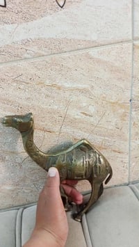 جمل نحاس • حجم كبير