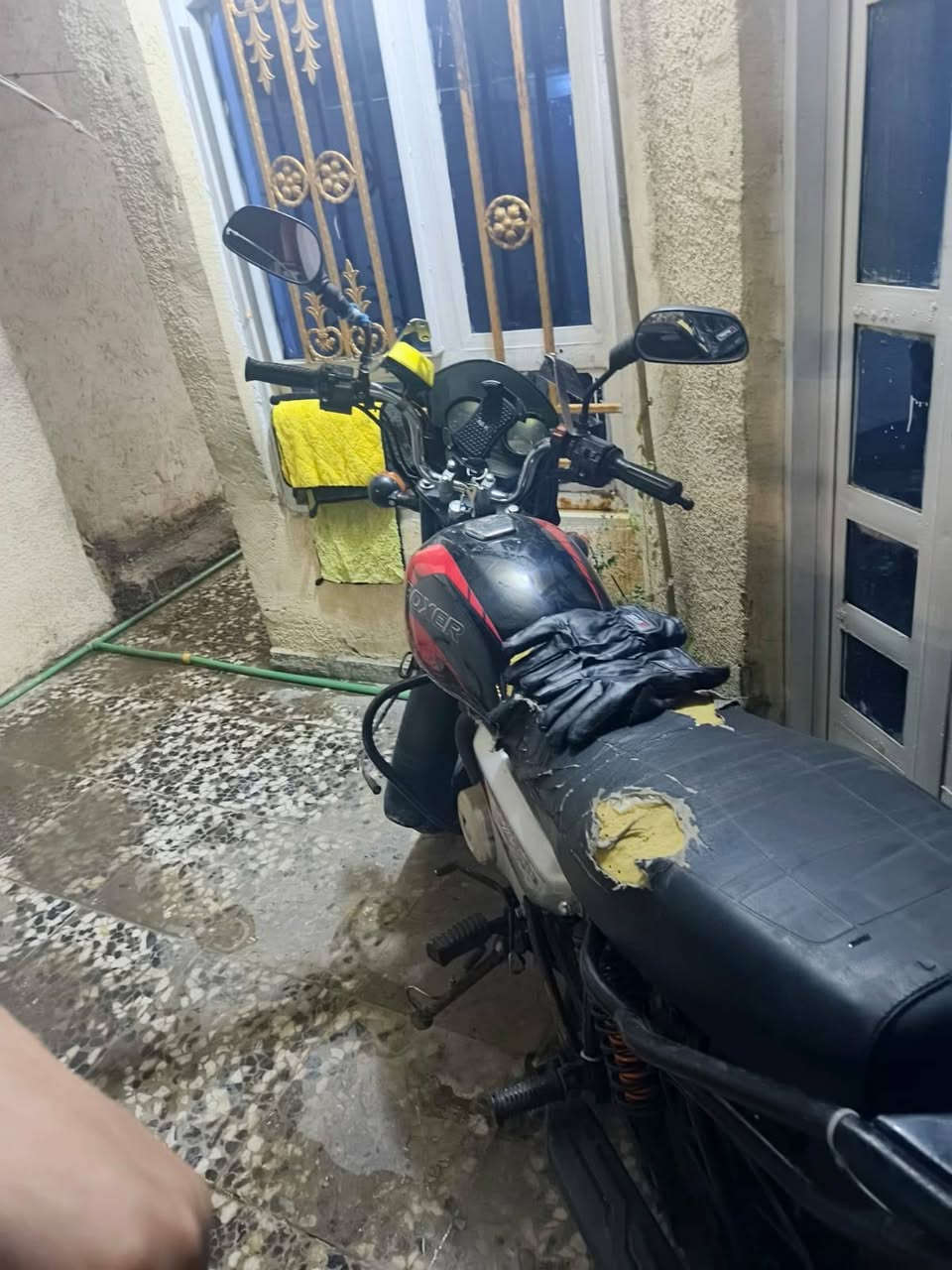 السلام عليكم بوكسر موديل 2023 بيه خيط تبخير خفيف كلش  أوراق كامله شرط الترقيم للبيع مليون و300وبيه مجال للشراي
عنوان بغداد تقاطع درويش
للاستفسار ***********
