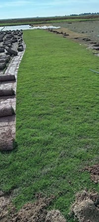 واتساب. 07826429235خدمت توصيل لجميع المحافظات ويوجد كادر لتجهيز الحدائ...