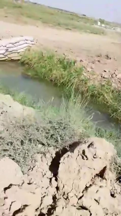 سلام عليكم كاع البيع ابين النصر وشطره مقابيل حسن عيسه وتنزل 600تمر التفاصيل يمك بل مقاطع دونم وحد ودونمين وحد مزروعه طرح  رقم الهاتف *********** بل فرع مال الحقل يم كاع سيد نوري السعر ع خاص كاع زراعيه
