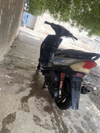 عدلة • ٥٥ • فول