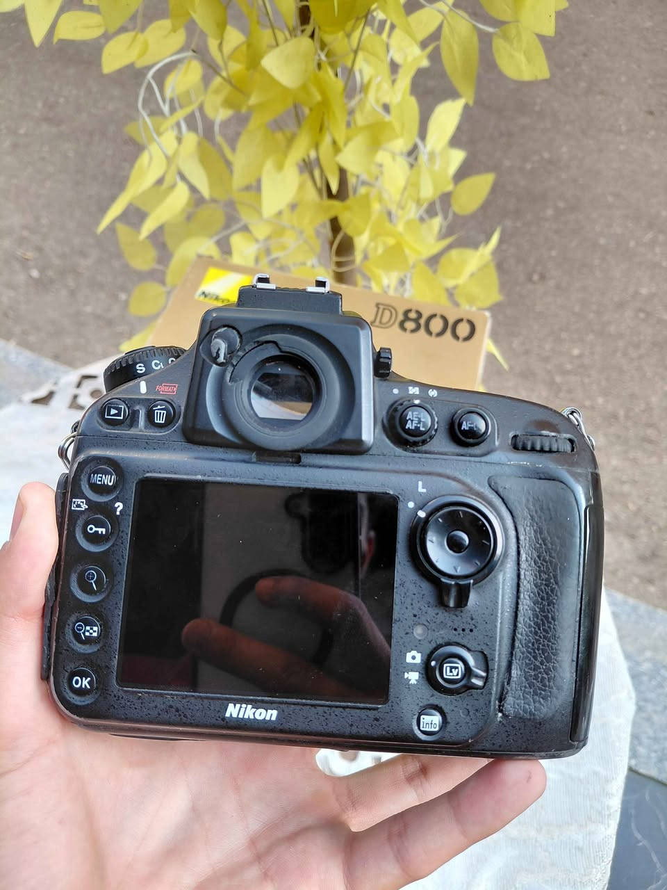 Nikon d800
Lens 50D
شتر 66K
معاها الشاحن الأصلي 
معاها البطاريه الأصلية 
معاها الحزام الأصلي 
لتوصل فون او واتساب 01116147021 مركز القناطر الخيريه, القليوبية


**إذا كنت صاحب هذا الإعلان وتريد حذفه لأي سبب، رجاءا أرسل رسالة إلى الدعم الفني**