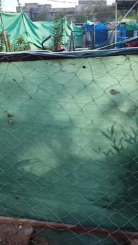 NA2 حجم 27 موديل ١٦ بي شوية صبغة مشيول من اللشة السعر ٥٠ بي شوية مجال ...