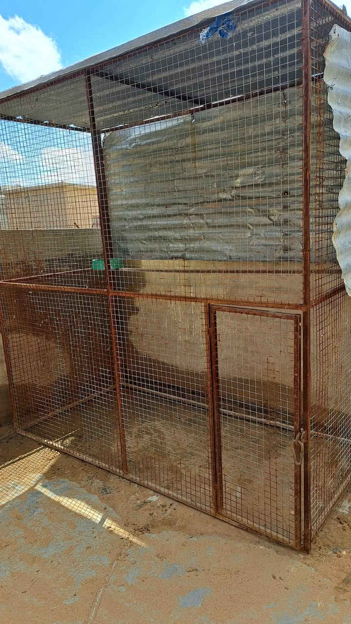 للبيع 
سعر 75 قفل
***********
