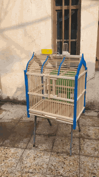 ‏‎✨ تحيه طيبه …
‏‎أقفاص بلابل فاخرة وجديدة كلياً -   راحة وأناقة لطائرك! ✨

#ملاحضه/معه كل قفص هديا 🎁🎁 

‏‎هل تبحث عن منزل مثالي لبلبلك الجميل؟

‏‎وصلت حديثاً تشكيلة مميزة من أقفاص البلابل بتصاميم عصرية وخامات عالية الجودة تضمن الراحة والأمان لصديقك الريش. 

‏‎لماذا تختار أقفاصنا؟

* تصاميم جذابة تناسب ديكور منزلك.

* 

🔶* متوفرة بمقاسات حجم كبير 

* ارتفاع 60🟥 وجه53🟥وعرض35

* 

* سهلة التنظيف بفضل أدراج التنظيف المريحة.

* مصنوعة من مواد متينة وآمنة على الطيور. 

‏‎🛒 اطلب الآن!
سعر قفص ب18الف 💵💵

‏‎استغل العرض الخاص لفترة محدودة. 

‏‎للتواصل والاستفسار:

📞 [***********]

‏‎ [العنوان/النجف كوفه حي المتنبي قرب مدينه ألعاب كوفه لاند]

‏‎🚚 تتوفر خدمة التوصيل لكافة المحافظات.
