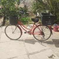 الحمر • الأسود • ابو غريب الزيدان