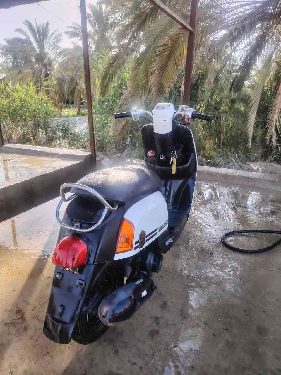 دراجه ماكس بوليس مكفوله كفاله عامه سلف هندر كهربائيات كله شغلاه دراجه ما مفتوح برغي واحد من عده دراجه خير من الله سعره 850 وبيه مجال بصيط مكاني ديوانيه 0788 330 0189
