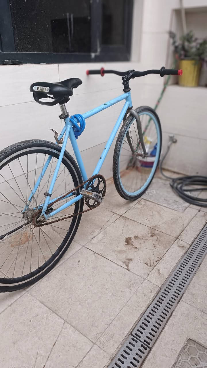 سلام عليكم شباب بايسكلات 3ثنين بناتيات واحد فكسد  
ال بناتيات نقص الوردي واير ويده مال بريك امامي 
الاسود بريك امامي يراد له  
وياله موس عدله حجمهن26 
الوردي حساس 
الاسود عادي 
الفكسد بي بريك مكينه وموضح كدامك 

مكان بغداد بياع لتواصل ***********
