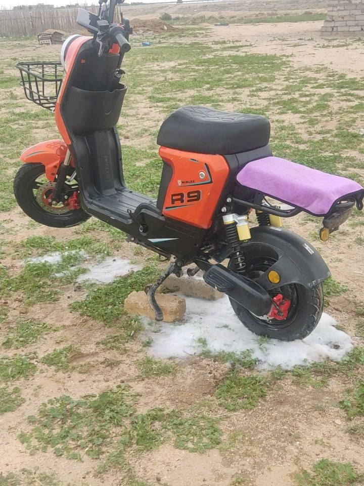 سلام عليكم
دراجه شحن R9
بطاريات ٣٣ابير 2026


**إذا كنت صاحب هذا الإعلان وتريد حذفه لأي سبب، رجاءا أرسل رسالة إلى الدعم الفني**