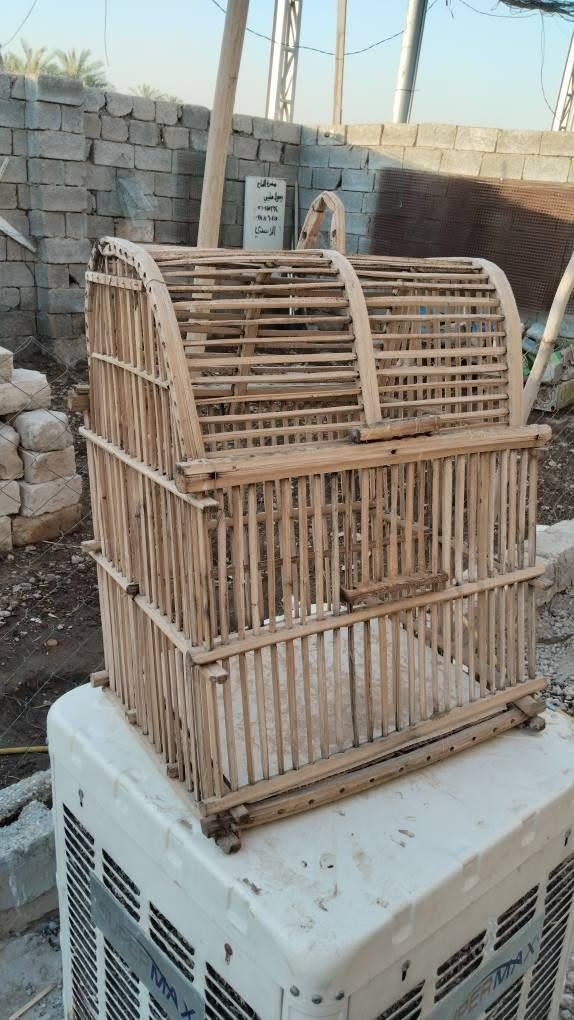 قفص جريد مستعمل بحاله جيده حجم كبير ب ٧ قفل قفل توصيل داخل النجف بكروه بسيطة 
نجف شارع المطار القديم *********** النجف, العراق
